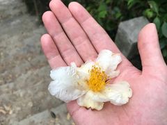 -七娘山