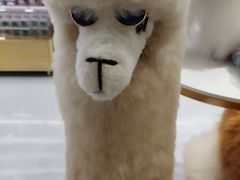 -国药中服免税(北京坊店)