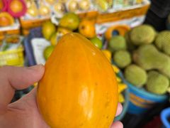 -新鸿港水果市场(三亚新鸿港国际商品交易中心店)