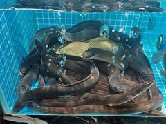 -山海•蒸汽活海鲜自助(皇庭广场店)