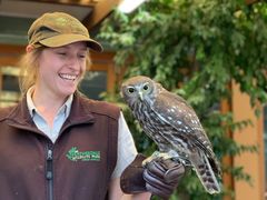 -费瑟代尔野生动物园
