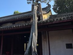 -太平天国侍王府