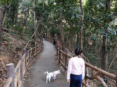 -青龙山国家森林公园
