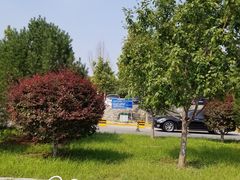 -北京西山国家森林公园