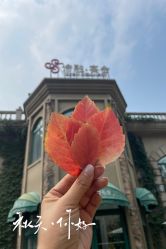 点击看大图 -谛融婚礼酒店·宴会厅(花园店)