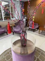 -厦门美莱整形美容医院