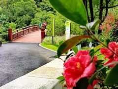 -云溪植物园