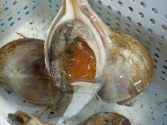 -牛天下·牛肉·海鲜·打边炉·融合菜