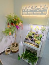 -苗塑堂减肥·艾灸