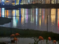 -南宁南湖公园