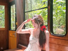 -合肥滨湖国家森林公园