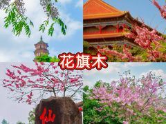 -广州莲花山旅游区