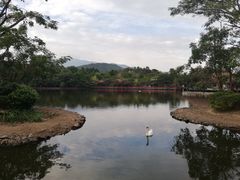 -清迈夜间动物园