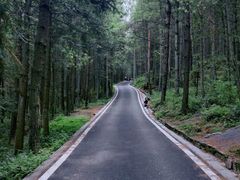 -重庆睡佛山森林公园