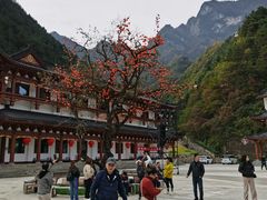 -秦岭天竺山生态文化旅游景区