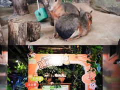 -正佳雨林生态植物园
