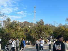 -紫金山山顶公园