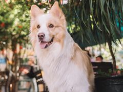 -豆舞咖啡(民乐路店)