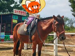 -金石滩蓝莓谷庄园