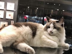 -咖法森林·咖啡  酒吧(天河店)