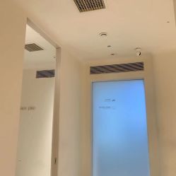 -紫御国际抗衰ZOE ANTI AGING