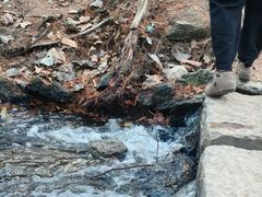 -白水寺森林公园