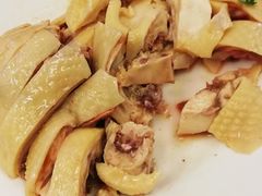 -振鼎鸡(丰庄路店)