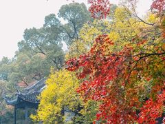 -惠山古镇·寄畅园