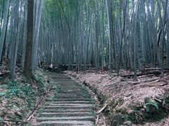 -会稽山峡洞漂流-上青古道