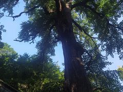 -青岛崂山太清宫
