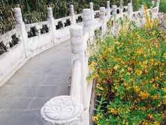 -中国中医科学院望京医院(院本部)