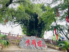 -大槐树寻根祭祖园
