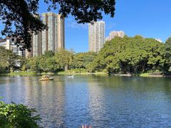 -晓港公园