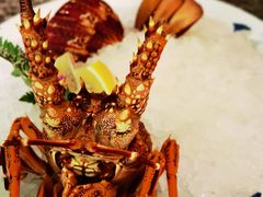 -辉哥火锅(虹桥路店)