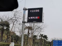 -南汇嘴观海公园