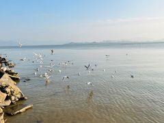 -深圳湾公园(南山区)