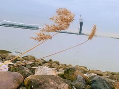 -上海吴淞炮台湾国家湿地公园
