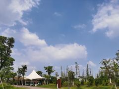 -九里湖国家湿地公园