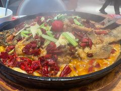 -老板恋上鱼(恒隆广场店)