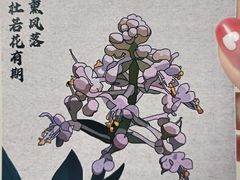 -百川·追风楼沉浸式剧本杀