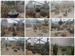 -上海辰山植物园