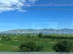 -清真·帅府街羊杂(大同古城店)