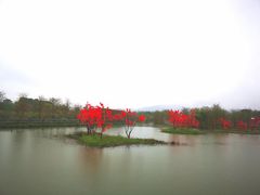 -天适樱花悠乐园