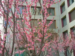 -和美电影艺术中心(万国城店)