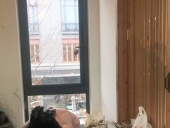 -子曰书院·古筝围棋书法国画小主持(夏都店)