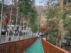 -莫干山风景区