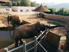 -西霞口神雕山野生动物世界