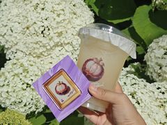 -LELECHA乐乐茶(王府井喜悦店)