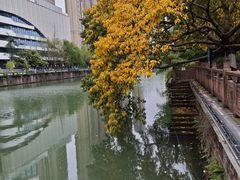 -成都市活水公园