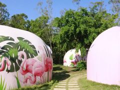 -漳州滨海火山岛自然生态风景区